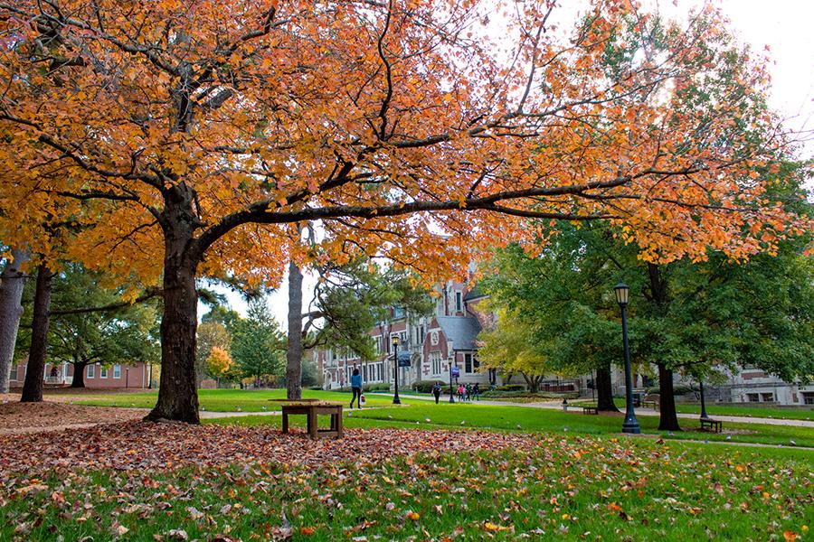 Photo of campus in fall